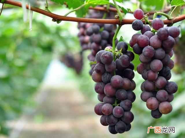 似水流年是什么意思？似水流年转眼时间飞逝