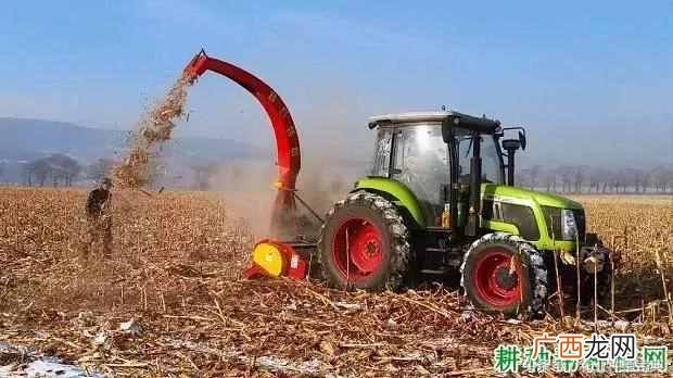 秸秆是什么农作物？如何利用秸秆做肥料