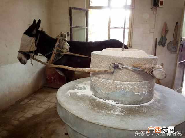 打破沙锅问到底是什么意思？这就是人们喜欢打