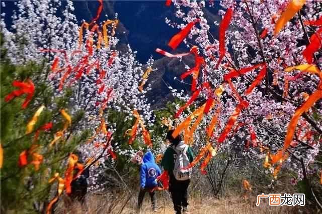 纷至沓来是什么意思？节假日游客纷至沓来