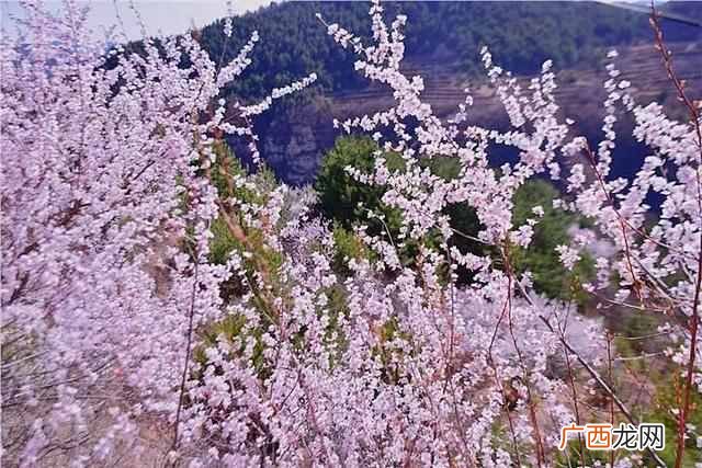 纷至沓来是什么意思？节假日游客纷至沓来