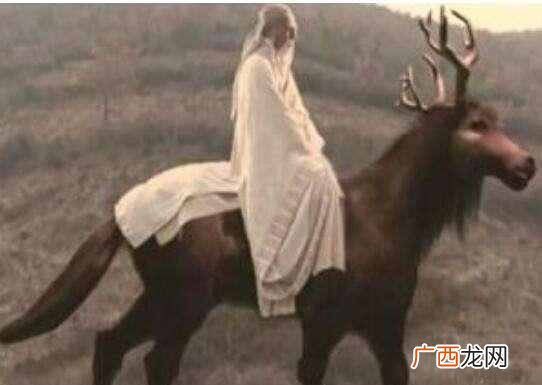四不像是什么动物？今天终于明白了