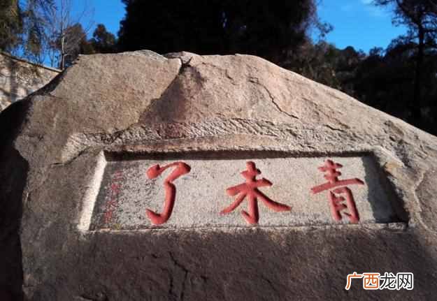 如何理解会当凌绝顶一览众山小？