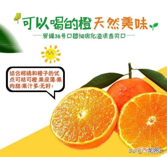 爱你没有理由，没有理由就是最好的理由