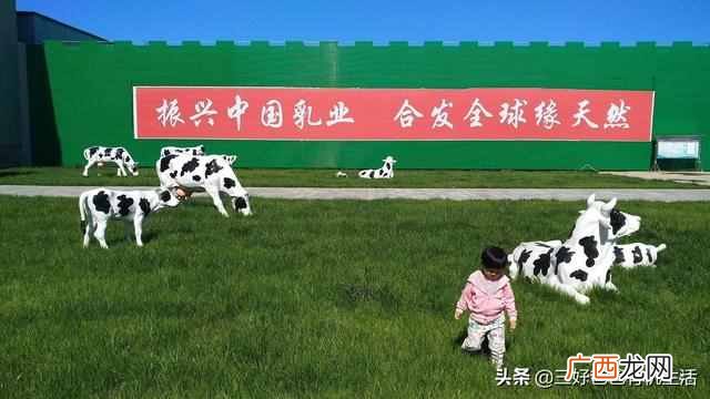 什么是有机奶粉和无机奶？