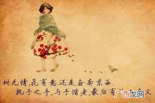 覆水难收是什么意思？人生没有彩排，发生的事