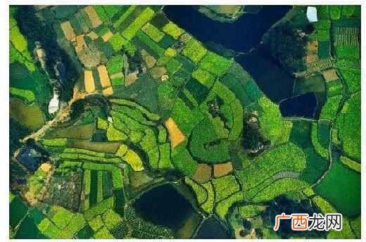 成都为什么叫天府之国，去了你就知道了