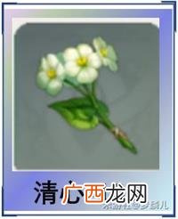 原神甘雨突破材料收集攻略-甘雨突破材料需要数量一览