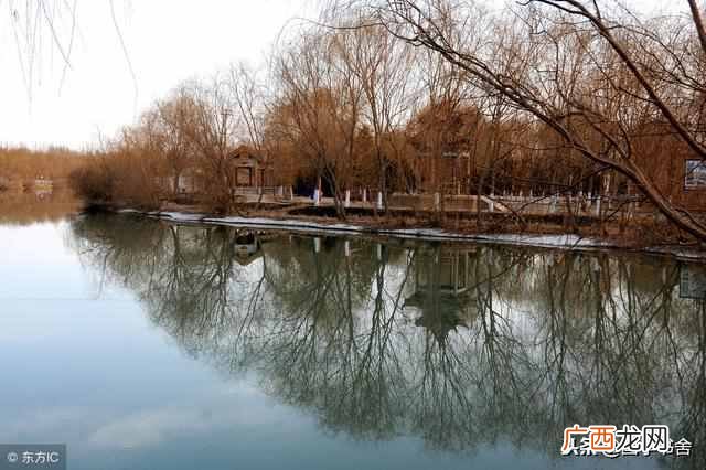 成语：心无旁骛是什么意思