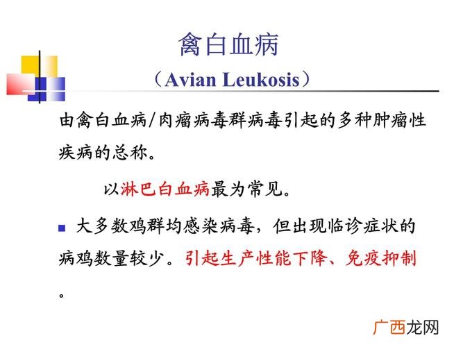 家里鸡的白血病沾人吗 鸡白血病检疫技术规范