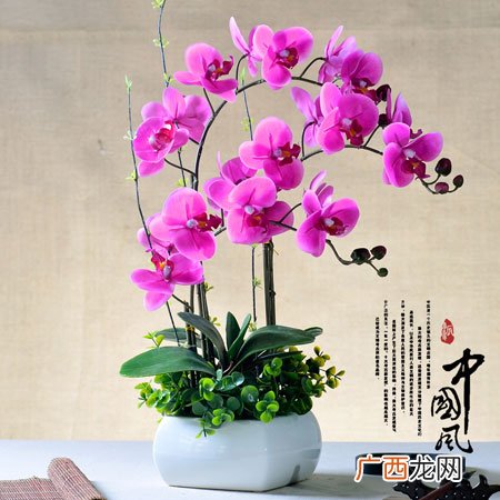 朋友暖房送什么礼物最合适
