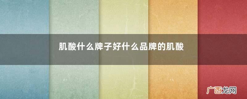 肌酸什么牌子好什么品牌的肌酸效果好