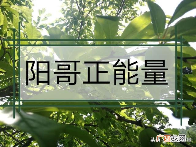 2020年理财投资什么好 2020投资什么项目好