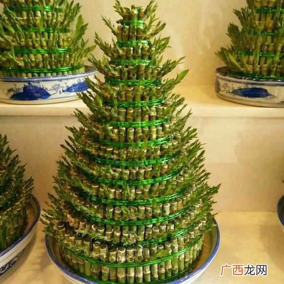 乔迁之喜送什么花合适？这三种花包你喜欢