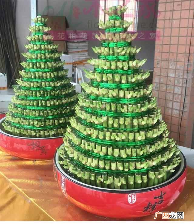 乔迁之喜送什么花合适？这三种花包你喜欢