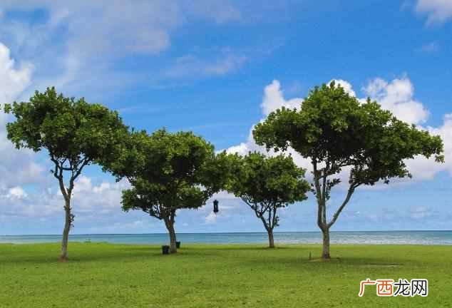 2019年什么时候入伏？夏至是入伏吗