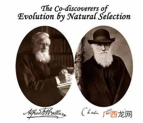 达尔文发明了什么？