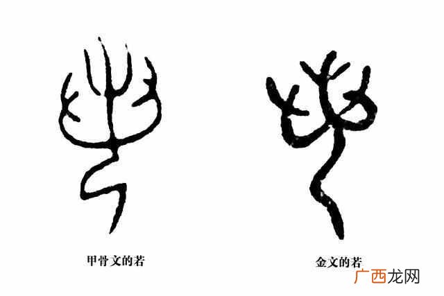 成语：望洋兴叹是什么意思，今天终于明白了