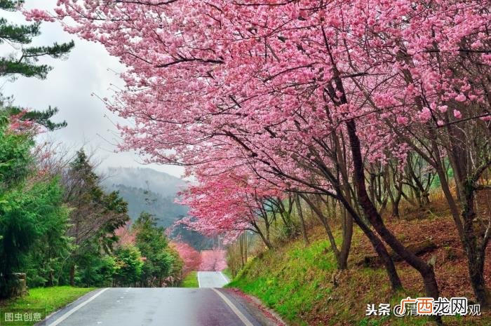 爱情表白文章，请收下这封表白情书