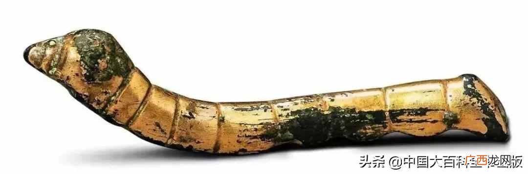 飞蛾为什么扑火?飞蛾为什么这么喜欢光亮的地方