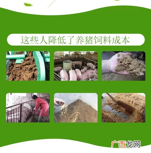 仔猪开口料配方 猪饲料发酵技术及配方