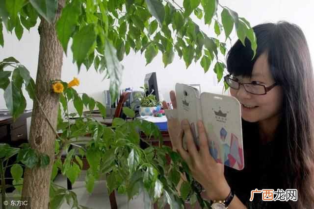 什么是家用养花氮肥？