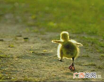 一蹴而就是什么意思？所有的一蹴而就都是慢慢