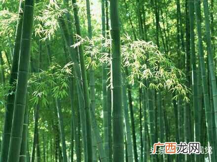 一蹴而就是什么意思？所有的一蹴而就都是慢慢