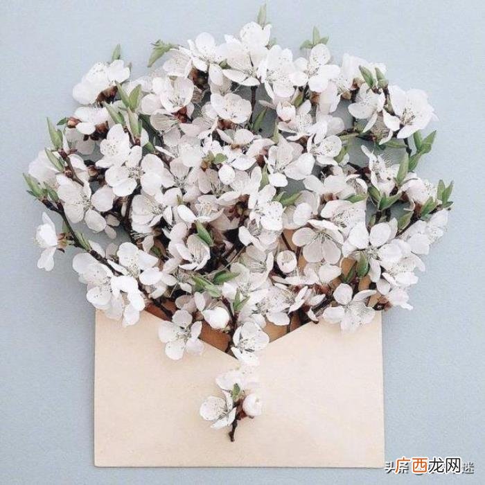 写给自己最暖心的句子 qq留言板留言暖心的话