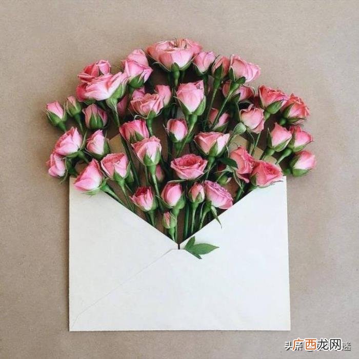 写给自己最暖心的句子 qq留言板留言暖心的话
