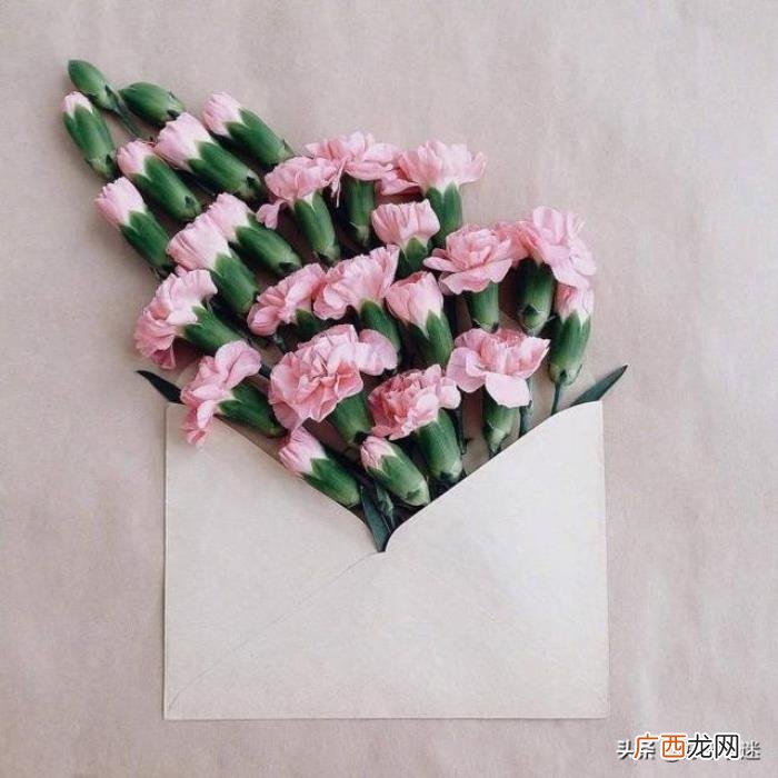 写给自己最暖心的句子 qq留言板留言暖心的话