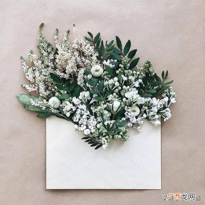 写给自己最暖心的句子 qq留言板留言暖心的话