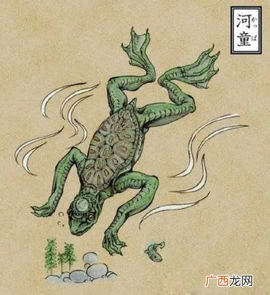 水鬼是什么动物？