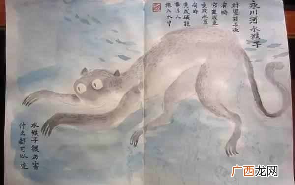 水鬼是什么动物？