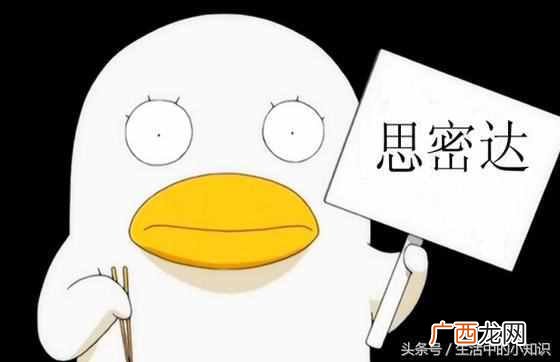 晚安思密达是什么意思啊