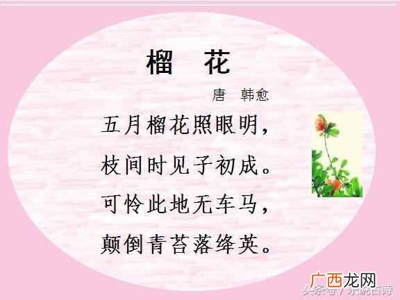 石榴花果实像什么？五月石榴花开