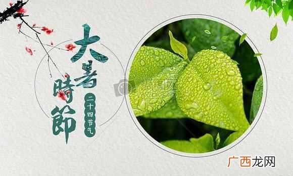 大暑是什么意思？24节气知多少？