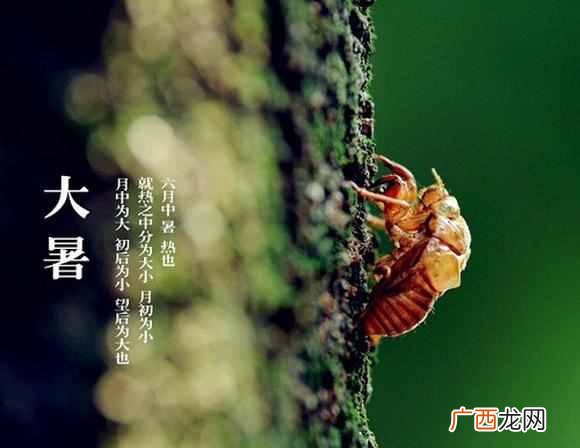 大暑是什么意思？24节气知多少？