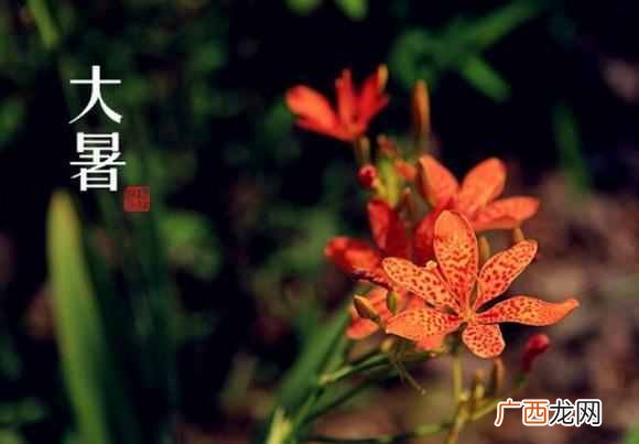 大暑是什么意思？24节气知多少？