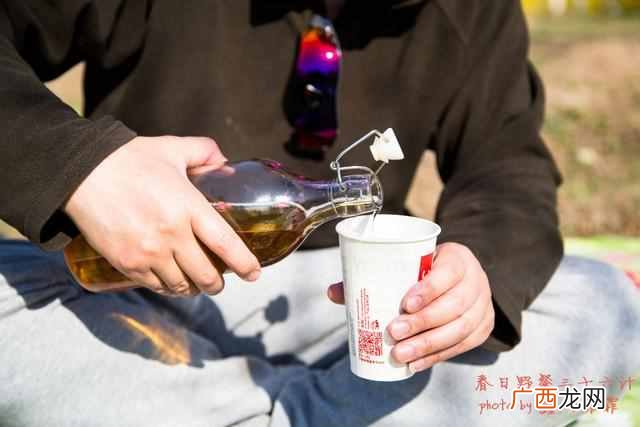 野餐带什么食物好？野餐必备食物大全