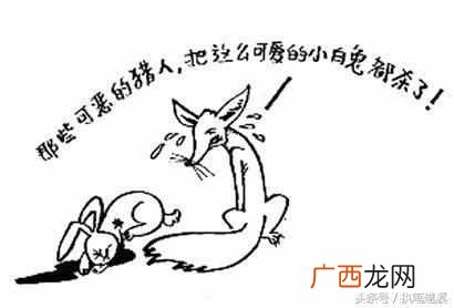 兔死狐悲是什么意思？教我们一个什么样的道理