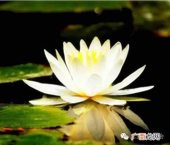 五月是开什么花的季节？太美了