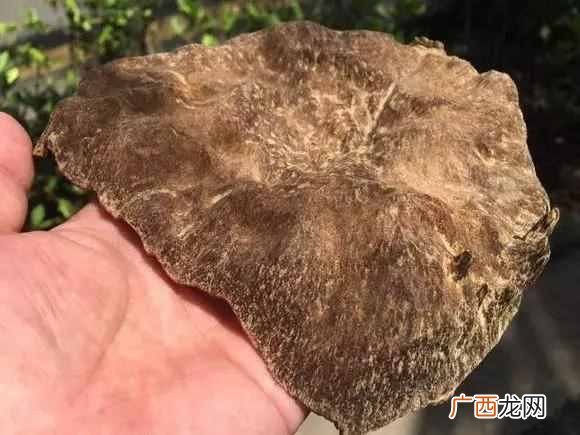 什么是沉香木,出自于哪里?
