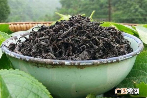 孕妇可以喝杜仲茶吗月经期可以喝杜仲茶吗