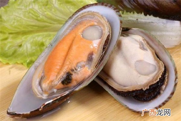 青口贝的热量青口贝吃多了会胖吗