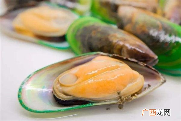 青口贝的做法青口贝怎么做好吃