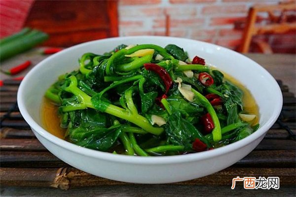 菊花菜是什么菊花菜的功效与作用