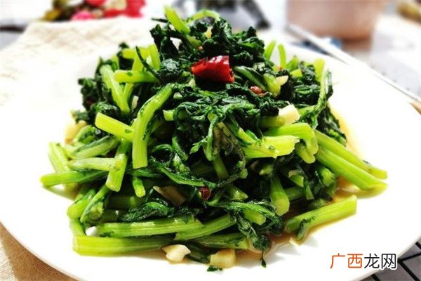 菊花菜是什么菊花菜的功效与作用