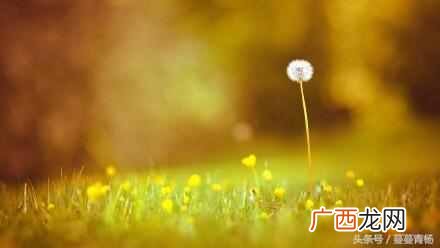 爱情的定义是什么？在你眼里什么才是真正的爱