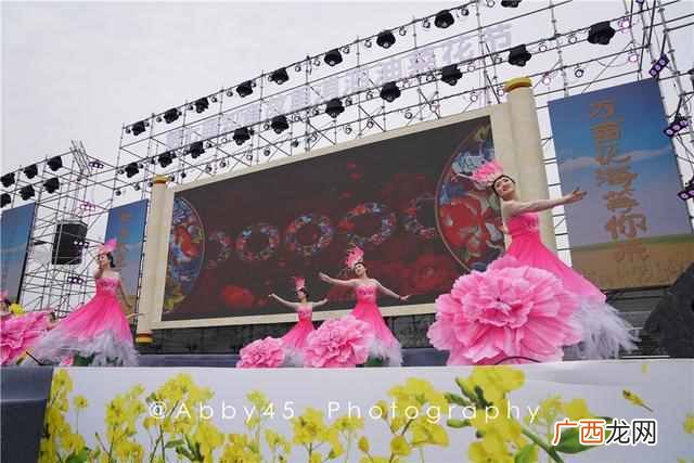 抖音油菜花是什么意思?油菜花红遍抖音